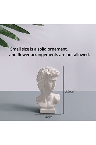 Choice WYY0007-S مزهرية ديفيد نورديك مقاس 6.5 سم، مزهرية مائية، زينة، وعاء زه...