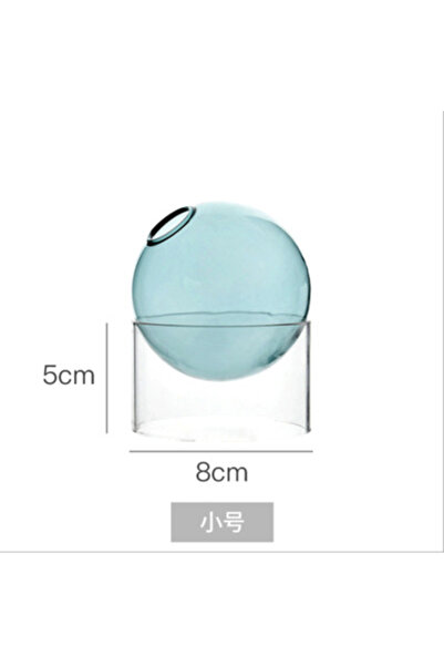 Choice green S Mini Round Flower Vase Hydroponic Container Micro Landscape Glass Ecological Bottle Borosili