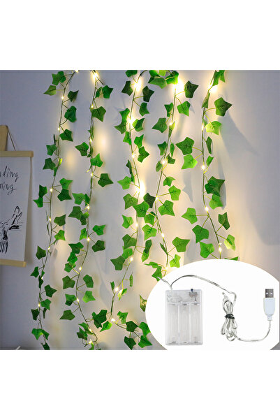 Choice 5M (16.4 قدم) أضواء زهور بيضاء دافئة وأوراق خضراء أضواء USB وأضواء كرمة بطارية