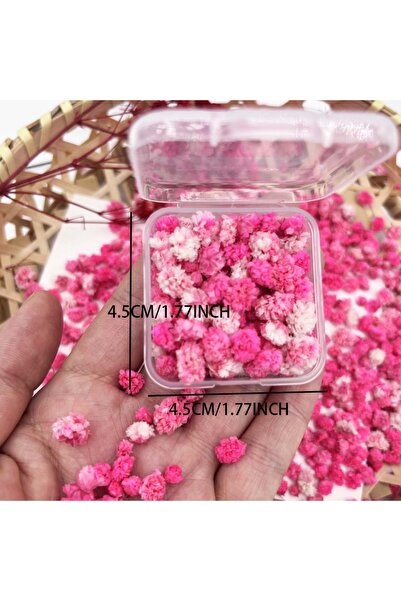 Choice رمادي فاتح 1 صندوق زهور مجففة زهور مجففة يدوية لصنع الشموع والصابون وت...