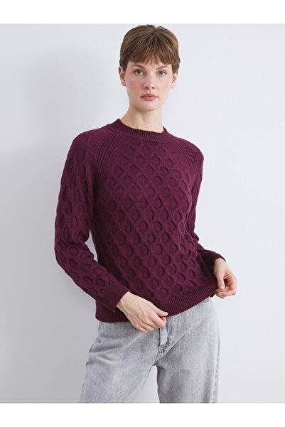 LC Waikiki Sparkling Choices from Shining Store | Crew Neck Self Patterned Women's Knitwear Sweater