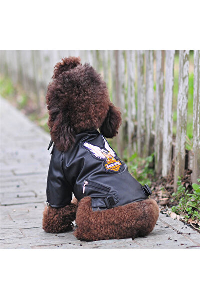 Choice L Black Glorious Eagle Pattern Dog Coat PU Leather Jacket Soft Waterpr...