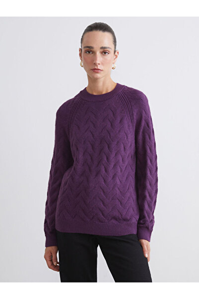 LC Waikiki Sparkling Choices from Shining Store | Crew Neck Self Patterned Women's Knitwear Sweater