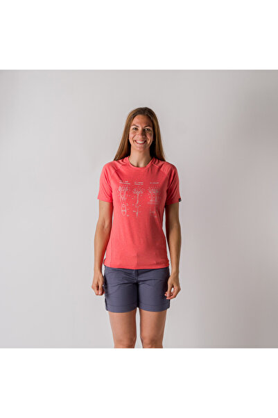 NORTHFINDER ERROR:#N/A