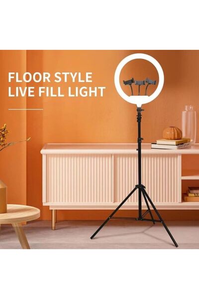 CFT 21-Inch LED Ring Light – Soft Ring Light with Tripod & 3 Phone Holders, Adjustable Brightness, Per