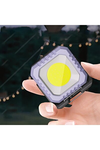 Flippy Keychain Flashlight Flippy, 5 Lighting Modes, USB-C Charging, 5W, IPX5 Waterproof, 500 lm, COB, Purp