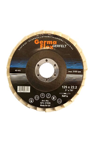 JollyMag Disc pasla lamelar, 125x10x22.2 mm