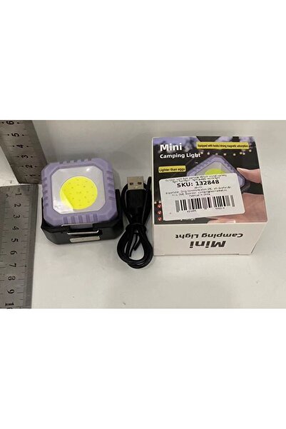 Flippy Keychain Flashlight Flippy, 5 Lighting Modes, USB-C Charging, 5W, IPX5 Waterproof, 500 lm, COB, Purp