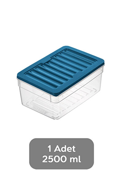 Meleni Home 1 Piece Deep Microwave Compatible Storage Container - Organizer Food Storage Container 2500 ml Blue