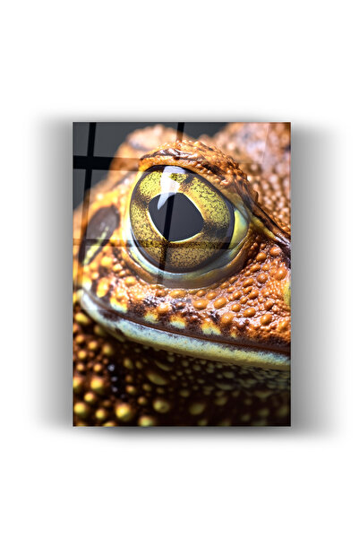 Nooraa Kurbağa Gözü Makro Tasarım Modern-Yatay Cam Tablo-Ev ve Ofis Dekorasyonu
