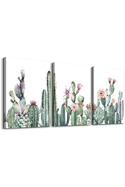 Emoda home Trove لوحة فنية جدارية من قماش الصبار الأخضر من ألايرا - 3 قطع 16 × 24 بوصة