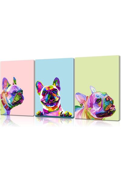 Emoda home Trove لوحة جدارية قماشية ملونة من ألايرا، 3 قطع، بتصميم بلدغ - 30×...