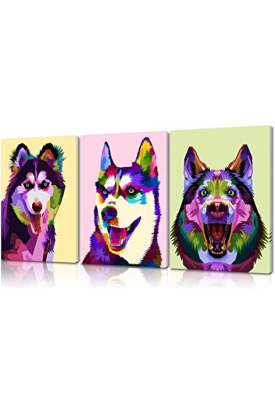 Emoda home Trove 3 قطع فنية جدارية ملونة - تصميم كلب الهاسكي على قماش 30×40 سم