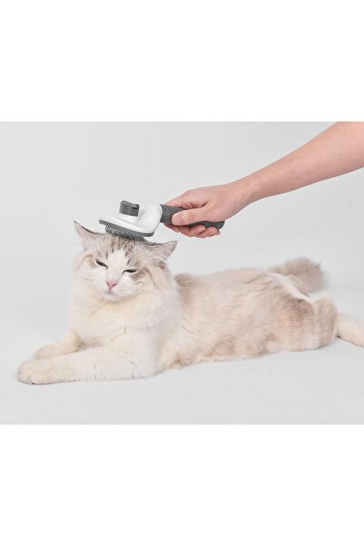 NEO Set consisting of a self-cleaning brush with a button for animals, Neo™ Pet-Pet®, useful for cleaning and