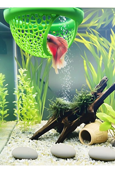 Akvaryum Beta Dinlenme Alanı Beta Yuvası Balık Yavrulugu Balık Yuvası