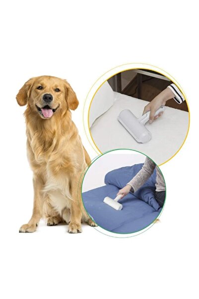 NEO Set consisting of Roller Brush and rubber strips, Neo™ Pet®, with compartment for collecting b