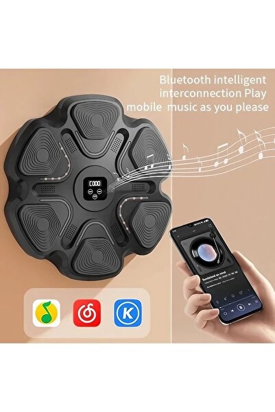 Flippy Aparat Box Cu Muzica, Montabil pe Perete, Flippy, Negru, Difuzor, Bluetooth, Iluminare LED