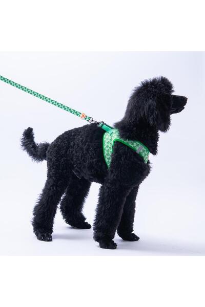 Pawstar Frog Leash Frog Patterned Cat Dog Walking & Traveling Strap Dog Extension Leash
