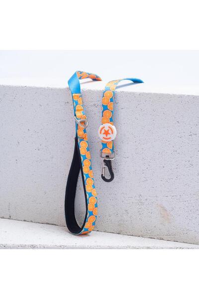 Pawstar Citrus Leash Citrus Patterned Cat and Dog Walking and Traveling Strap Dog Extension Collar
