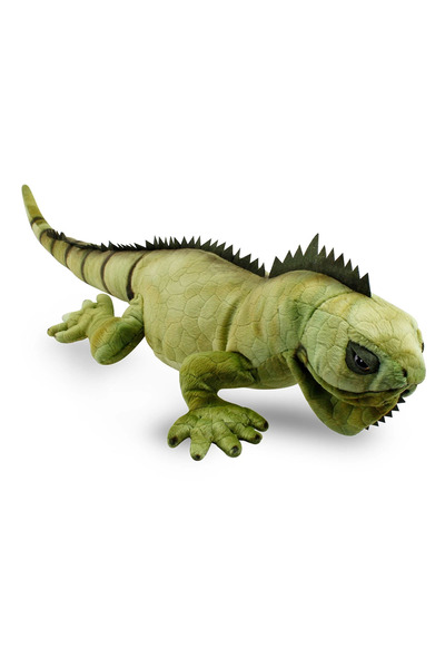 OMZ لعبة الفتاة إيجوانا 66 سم لعبة الصبي ألعاب تعليمية