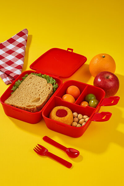 deycollect صندوق غداء مكون من 4 أقسام - حاوية تخزين الطعام - مساحة صندوق الغداء