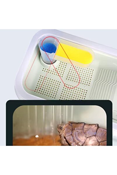 SunSun FG-T38F turtle aquarium – dual filtration, 90° rotating shower, drying platform, anti-escape design