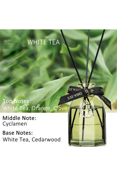 L&Wen Reed Diffuser, Home Fragrance Essential Oil with 5 Reed Sticks for Home Décor 150ml- White Tea