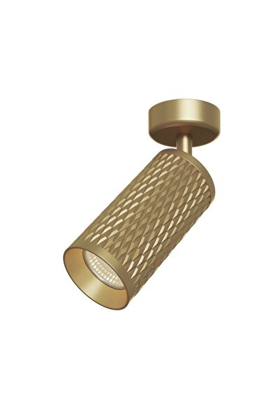 MAYTONI Spot Aplicat FOCUS DESIGN C034CL-01G