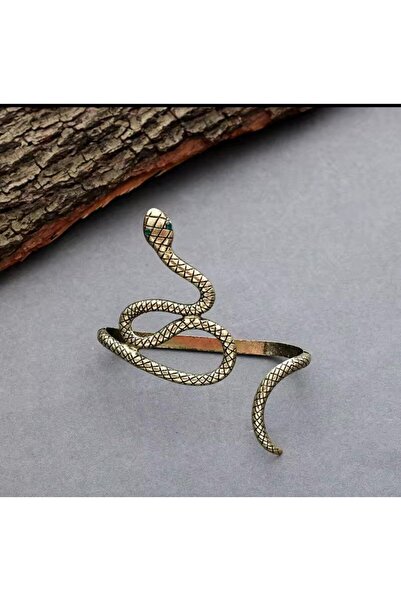 Shiklik MODA Elegant Snake Figured Women's Palm Model Watch