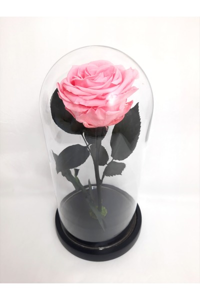 OEM Trandafir criogenat Premium roz pastel in cupola de sticla, 25cm