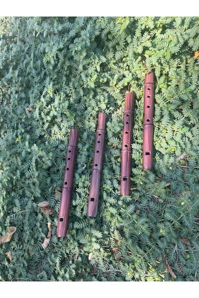 flut Flüt Çocuklar için geliştirici fülüt altı delikli dilli kaval