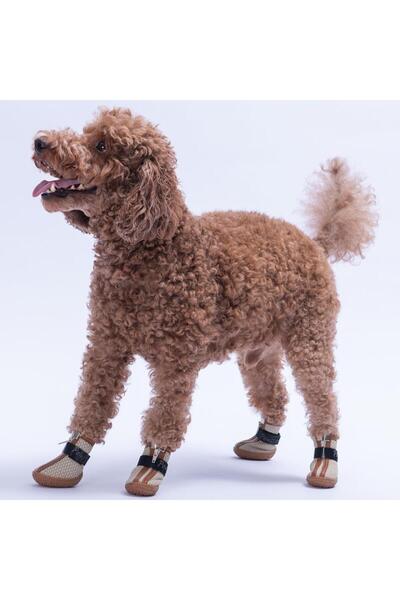 Pawstar Kahverengi Airmesh Fileli Hava Alabilen Köpek Ayakkabısı-Köpek Patiği