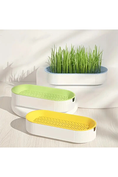 OBRO Maté planting kit without soil, tray and Vitakraft fast-growing seed packet, 2-3 days, 50g