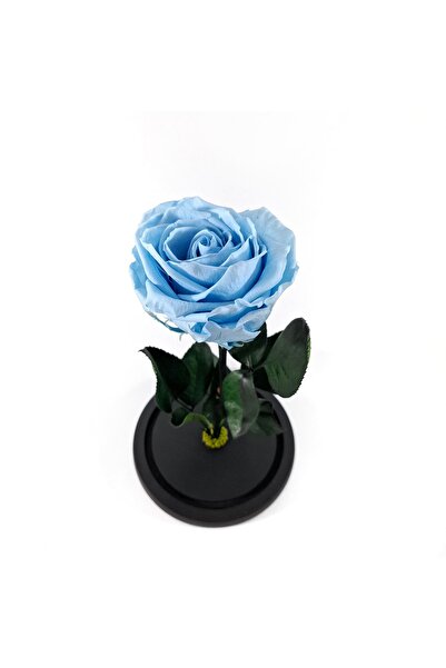 OEM Trandafir criogenat Premium in cupola de sticla, 25cm