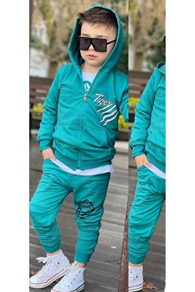 zavera for kids Boy's Lion Printed 3-Piece Tracksuit Set 2 Thread Full Lycra