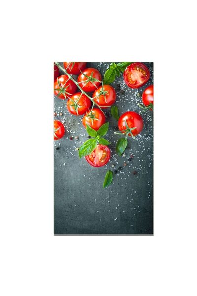 FRANDIS Tempered glass plate, heat-resistant, wall/stove/countertop protection, Frandis, 30x52x0.4
