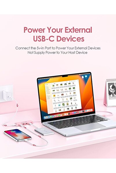 LENTION موزع USB-C، كابل بطول 2 قدم، 4 منافذ بيانات USB-C + منفذ مصدر طاقة USB-C (ذهبي وردي)