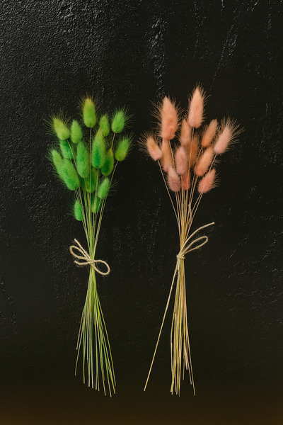 ÇINARASYADAHOME Buchet de iarbă naturală uscată de coadă de iepure, roz-verde...