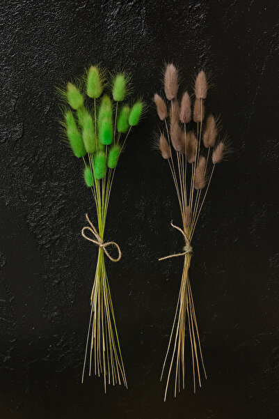 ÇINARASYADAHOME Buchet de iarbă naturală uscată de coadă de iepure verde-gri ...