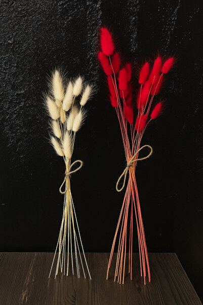 ÇINARASYADAHOME Buchet de iarbă naturală uscată de coadă de iepure alb-roșu 2...