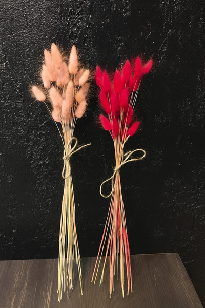 ÇINARASYADAHOME Buchet de iarbă naturală uscată de coadă de iepure roz-roșu, ...