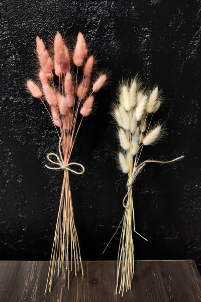 ÇINARASYADAHOME Buchet de iarbă naturală uscată de coadă de iepure roz-alb, 2 buchete, 20 de ramuri, dublă culoare