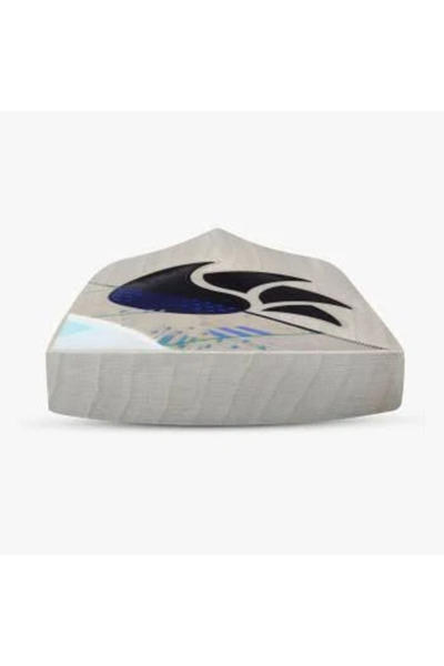 DSC Condor Flicker Kasmir Willow Cricket Bat | Color: Beige | Size- Harrow