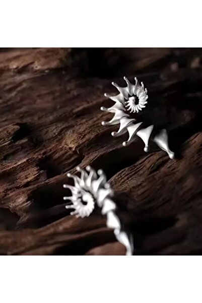 Dgt Luxury Deniz Kabuğu Zarif Küpeler, Kulak İğnesi 925 Ayar Gümüş