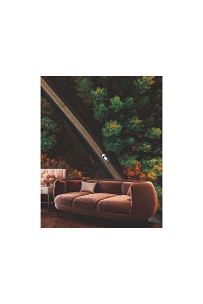 OEM Tapet Premium Canvas, Sosea forestiera cu copaci colorati, 120x180 cm