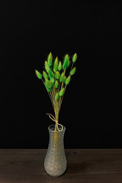 ÇINARASYADAHOME Buchet de iarbă naturală uscată de coadă de iepure de culoare...