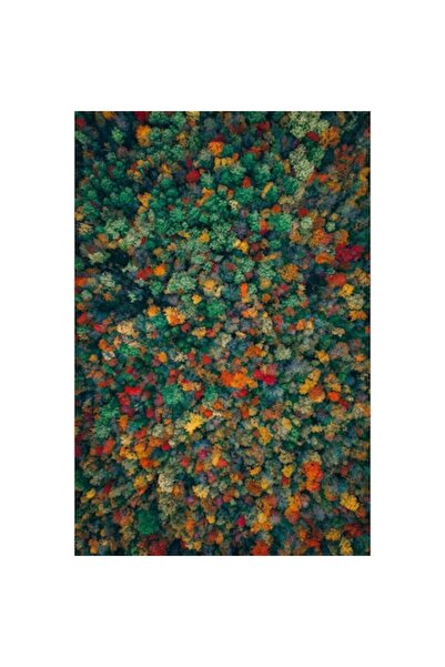 OEM Tapet Premium Canvas, Peisaj copaci colorati toamna, 120x180 cm