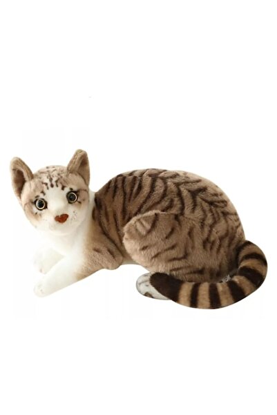 OEM Pachet Pisică de Pluș: Pisică Mieunătoare Multicoloră, 26 cm + Set Inteli...