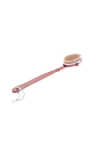 FRANDIS Perie de spate cu mâner detașabil, Frandis, lemn/pereți