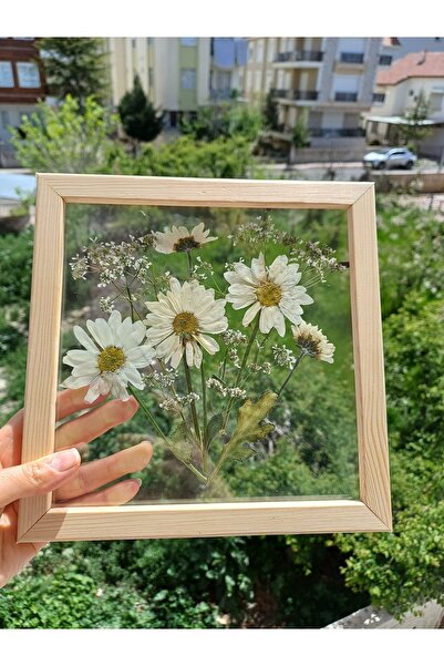 Store Beyaz papatyalı tablo